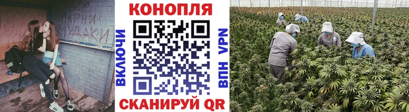 Бошки марихуана White Widow  Купить закладки  Великие Луки 